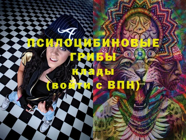 скорость Кукмор