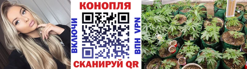 Конопля ГИДРОПОН Свирск